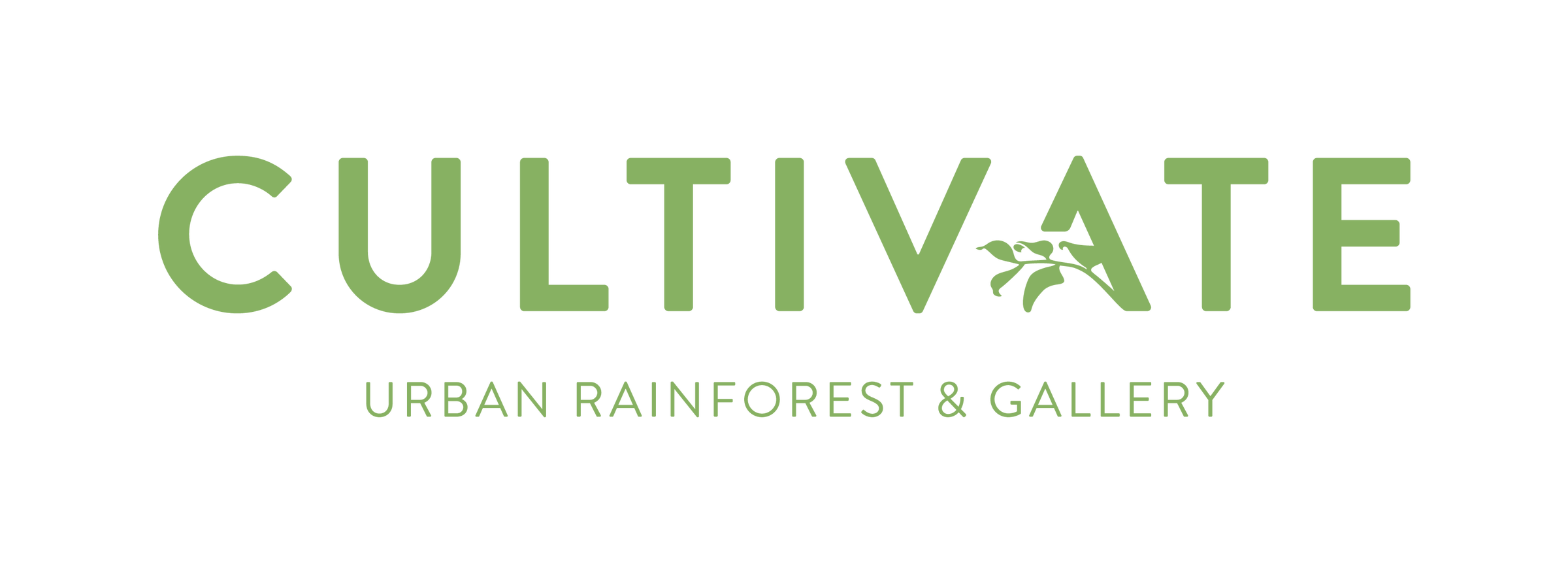 Plant Shop Evanston | Cultivate Urban Rainforest & Gallery